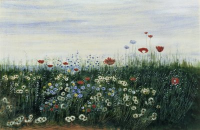 Mohnblumen, Gänseblümchen und andere Blumen am Meer von Andrew Nicholl